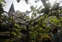 Conheça o claustro da Igreja Santa Teresinha, espaço de reflexão e tranquilidade em Porto Alegre que será aberto ao público