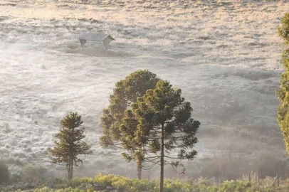 SÃO JOAQUIM, SC - 15/05/2023 - Amanhecer tem temperaturas abaixo de zero e geada em municípios catarinenses, como São Joaquim e Urupema. Na imagem, as primeiras fotos da manhã em São Joaquim.<!-- NICAID(15428421) -->