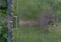 Como agem as quadrilhas suspeitas de manipular resultados no futebol gaúcho