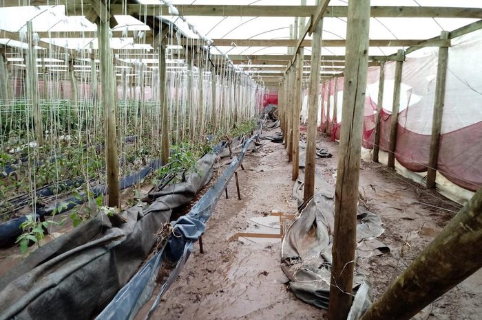 Emater / Divulgação Emater / Divulgação