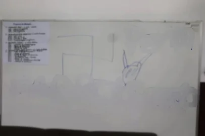 Polícia investiga apologia ao nazismo e vandalismo em Viveiro Municipal de Casca<!-- NICAID(16127117) -->