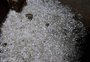 Granizo e vento forte causam estragos no interior de Cerrito