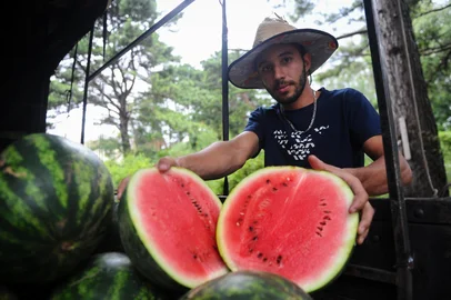 CAXIAS DO SUL, RS, BRASIL, 02/01/2024. Preço da melancia sobe, mas há chance de economizar na hora de comprar a fruta em Caxias do Sul. Na foto, vendedor Guilherme da Silva Prux, que comercializa melancia na Perimetral, em Caxias. (Bruno Todeschini/Agência RBS)Indexador: BTK<!-- NICAID(15639440) -->