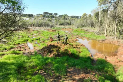 Polícia flagra mais de 93 mil m² de desmatamento no norte do RS<!-- NICAID(16126148) -->