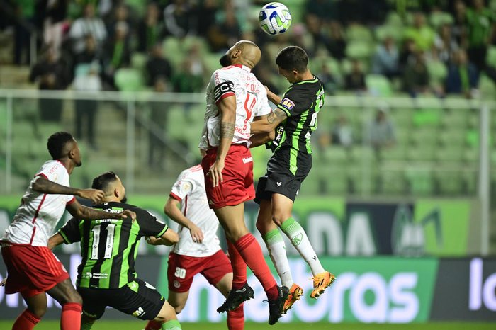 Mourão Panda / Flickr América