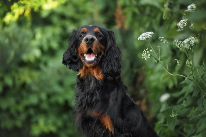 otsphoto / Shutterstock</div>
<div> | Portal EdiCase