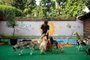 Porto Alegre, RS, Brasil, 22/07/2022 - A pauta é sobre as novidades no atendimento dos pets, com especialistas em vários tratamentos médicos e espaços específicos para o cuidado dos pets (como creches e spas) - Foto: Anselmo Cunha/Agência RBS<!-- NICAID(15155849) -->