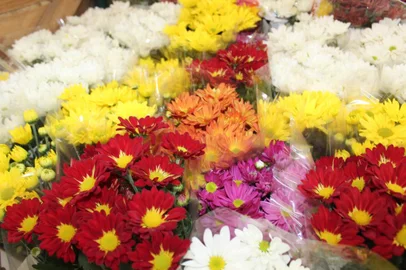 Venda de flores no Dia dos Finado<!-- NICAID(15584290) -->