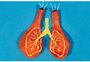 Asma, bronquiolite e pneumonia: entenda as diferenças das síndromes respiratórias nas crianças