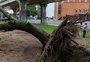 De "força do vento" a "volume excessivo": as justificativas para falta de luz e alagamentos nos últimos oito temporais em Porto Alegre