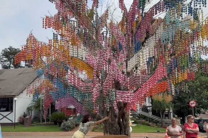 Reprodução RBS TV / Divulgação Reprodução RBS TV / Divulgação