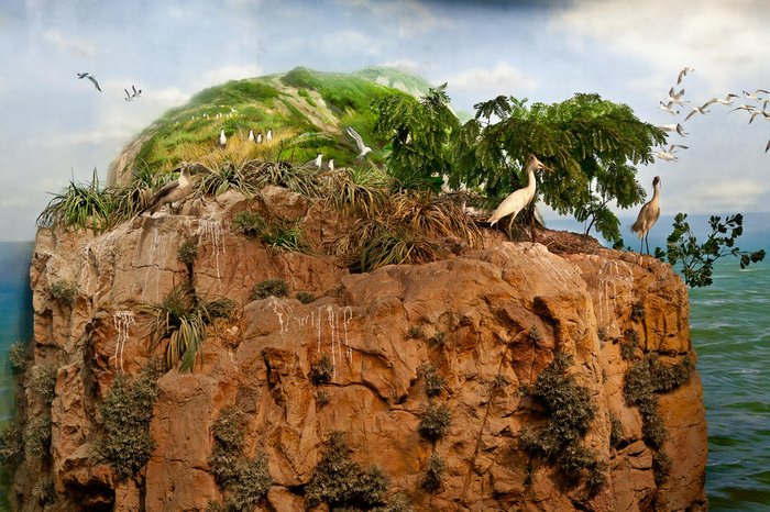 Romy Pocztaruk / Divulgação