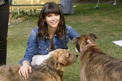 Nossa vida com cães na sessão da tarde<!-- NICAID(16003752) -->
