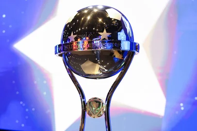 Troféu Copa Sul-Americana<!-- NICAID(15998400) -->