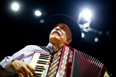 Porto Alegre, RS, BrasilLuiz Carlos Borges retorna aos palcos com show no Teatro Renascença.Indexador: Jonathan Hgeckler<!-- NICAID(15182785) -->