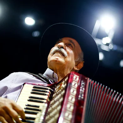 Porto Alegre, RS, BrasilLuiz Carlos Borges retorna aos palcos com show no Teatro Renascença.Indexador: Jonathan Hgeckler<!-- NICAID(15182785) -->