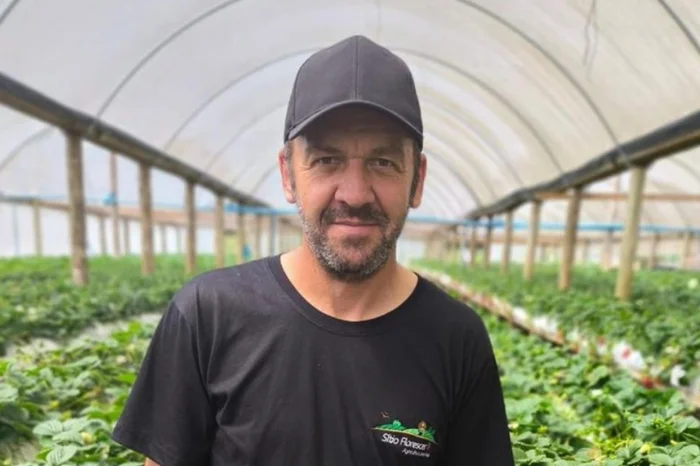 Divulgação / Arquivo pessoal