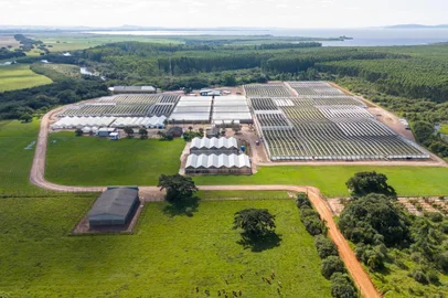 O impacto local e o cronograma da obra do projeto de celulose de R$ 25 bilhões em Barra do Ribeiro<!-- NICAID(15748720) -->