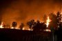 This photograph taken on August 5, 2021 shows trees burning as a fire spreads around the village of Afidnes, some 30 kilometres north of Athens. - Firefighters were battling a series of raging blazes in sweltering heat on August 5, 2021, in western and eastern Greece, and near Athens where a fire that had been coming under control regained strength. (Photo by LOUISA GOULIAMAKI / AFP)<!-- NICAID(14855787) -->