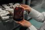 CAXIAS DO SUL, RS, BRASIL, 15/06/2023. A reportagem foi até o Hemocentro de Caxias do Sul acompanhar os processos pelos quais o sangue passa desde o momento da doação até estar pronto para a pessoa que precisa receber. (Bruno Todeschini/Agência RBS)Indexador: BTK<!-- NICAID(15457310) -->