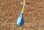 Balão da Argentina viaja 1,2 mil quilômetros e cai em propriedade rural no norte do RS