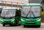 Empresa de transportes adquire mais de 200 ônibus da Marcopolo para atender a regiões Norte e Nordeste do Brasil