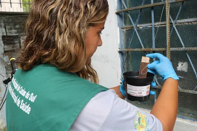 Caxias do Sul conta com armadilhas contra mosquito da dengue<!-- NICAID(15961405) -->