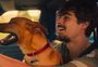 Em alta na Netflix: filmes e séries para assistir neste fim de semana 