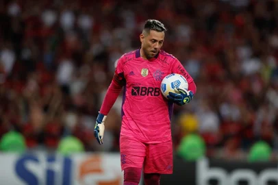 Diego Alves, Flamengo