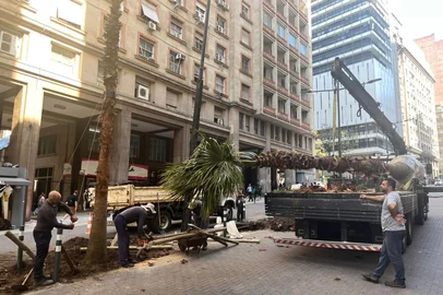 Beatriz Coan / Agencia RBS PORTO ALEGRE, RS, BRASIL - 11/11/2025 - Prefeitura de Porto Alegre realiza o plantio de árvores na Avenida Borges de Medeiros (Foto: Beatriz Coan/Agencia RBS)<!-- NICAID(16165260) -->