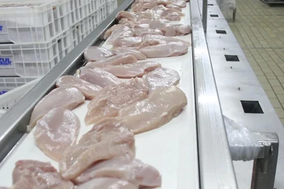 linha de produção de frango<!-- NICAID(11903806) -->