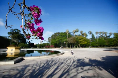 Porto Alegre, RS, Brasil, 03/11/2022- Clima. Manhã de primavera com sol, céu azul e frio. Foto: Jonathan Heckler / Agencia RBS<!-- NICAID(15254405) -->