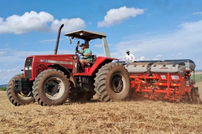 Thaís Grando Lago Biff / Arquivo Pessoal