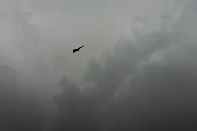 Caça sobrevoa Porto Alegre