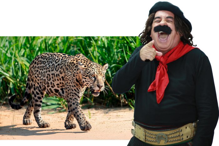 Fabrício Eckhard / Divulgação Fabrício Eckhard / Divulgação