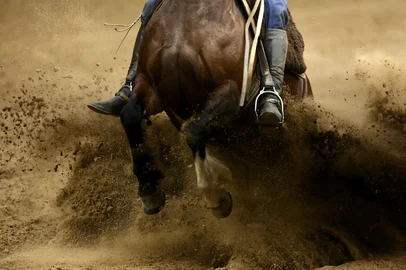 ESTEIO, RS, BRASIL - SÁBADO - 31/08/2024 - 47ª Expointer, a maior feira de agronegócio do sul do Brasil. Final do Freio de Ouro 2024 FOTO: JEFFERSON BOTEGA/AGÊNCIA RBSIndexador: jeff botega<!-- NICAID(15855324) -->