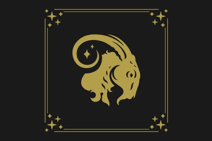 Vasya Kobelev / Shutterstock | Portal EdiCase