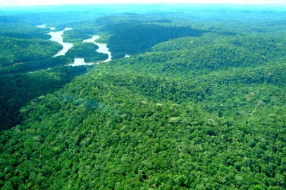 O Instituto de Desenvolvimento Florestal e da Biodiversidade do Estado do ParÃ¡ (Ideflor-bio) dÃ¡ inÃ­cio ao processo de concessÃ£o florestal no lote II do conjunto de Glebas Mamuru-Arapiuns, com realizaÃ§Ãµes de audiÃªncias pÃºblicas nos municÃ­pios de SantarÃ©m (13/06), Juruti (17/06) e Aveiro (20/06).FOTO: ASCOM IDEFLOR-BIODATA: 25.05.2016<!-- NICAID(13120493) -->