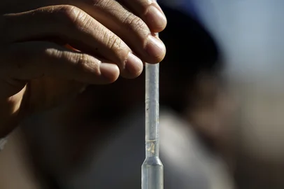 Porto Alegre, RS, Brasil, 30-04-2025: Larvas de mosquito encontradas em piscina durante ação de combate à dengue com pulverização de inseticida no bairro Camaquã, na zona sul de Porto Alegre, promovida pela Secretaria Municipal de Saúde com o apoio do exército. Foto: Mateus Bruxel / Agência RBSIndexador: MATEUS BRUXEL<!-- NICAID(16027365) -->