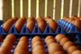 SALVADOR DO SUL, RS, BRASIL, 26/07/2016 - Empresa NATUROVOS, que investe produção de biometano a partir de dejetos orgânicos provenientes do esterco das aves e resto de ovos. Faz parte do Projeto Biogás - Consorcio Verde Brasil  - ECOCITRUS, NATUROVOS e SULGÁS. (FOTO: CARLOS MACEDO/ AGÊNCIA RBS).<!-- NICAID(12341497) -->