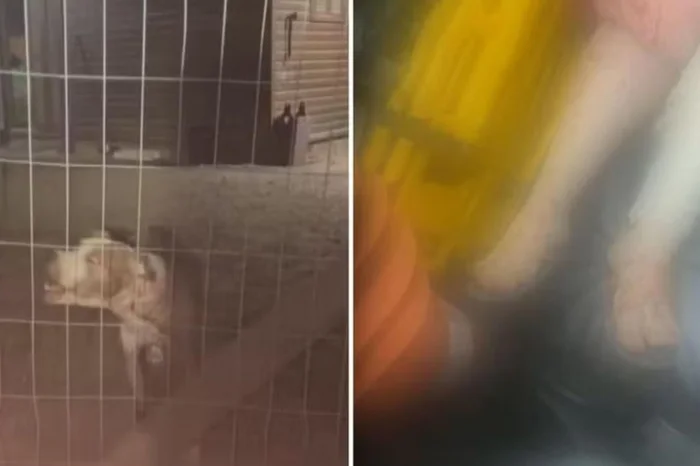 Polícia Civil / Divulgação Polícia Civil / Divulgação