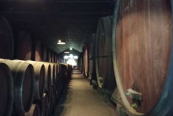Produção de uva e vinhos na Península de Setúbal (Portugal). Na foto, adega José Maria da Fonseca. Foto: Isabel Marchezan / Agencia RBS<!-- NICAID(15733419) -->