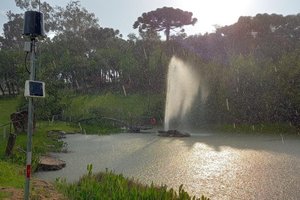 Prediza / Divulgação