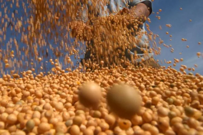 Tadeu Vilani / Agencia RBS