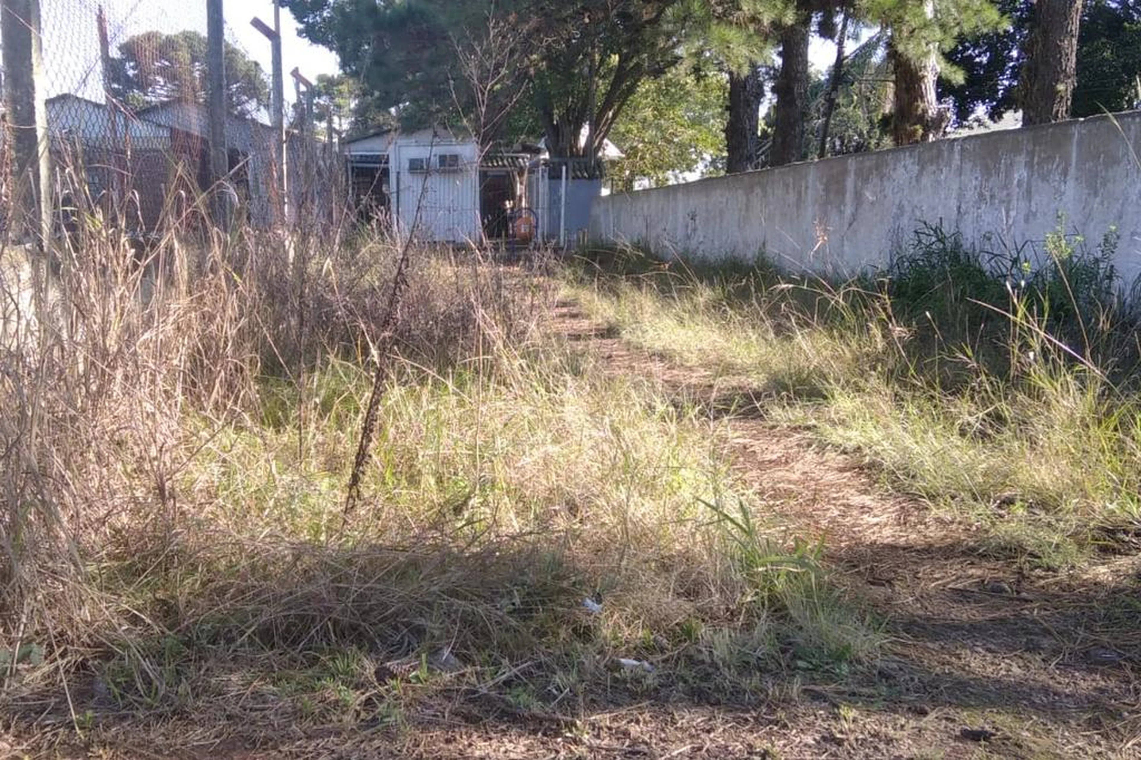 Arquivo pessoal/Reprodução