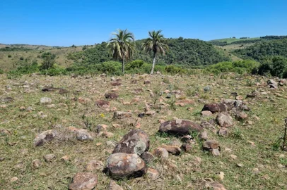 Herbário do DDPA/Seapi comemora a marca de 20.000 exemplares<!-- NICAID(16217726) -->