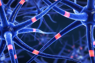 Ilustração 3D de celulas transmissoras cerebrais - Foto: Christoph Burgstedt/stock.adobe.comFonte: 222300285<!-- NICAID(15070204) -->