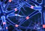 Esclerose: conheça os sintomas e as diferenças entre a múltipla, a lateral amiotrófica, a tuberosa e a sistêmica