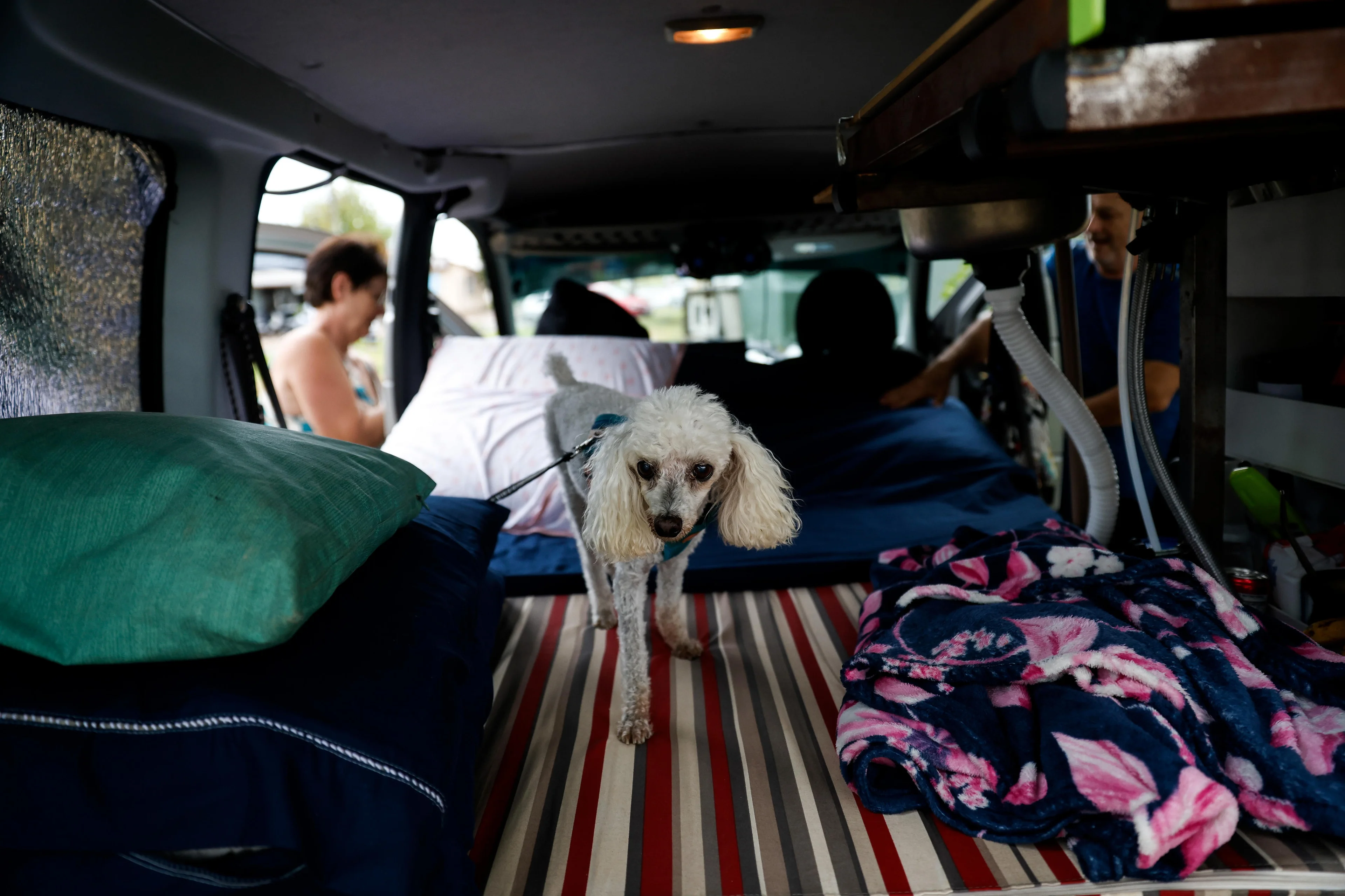 Camila Hermes/Agencia RBS