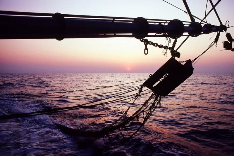 Pesca de arrasto de camarão é liberada no litoral do RS pelo Ministério da Agricultura<!-- NICAID(15049128) -->